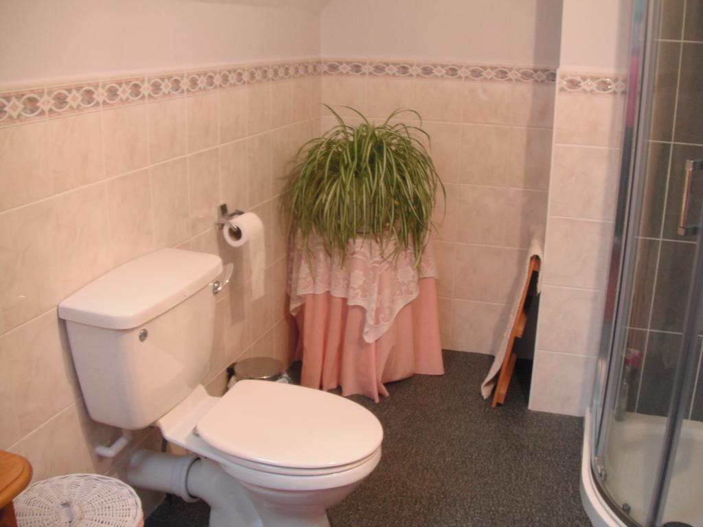 Narrow Gauge B&B Ballymoney Bilik gambar